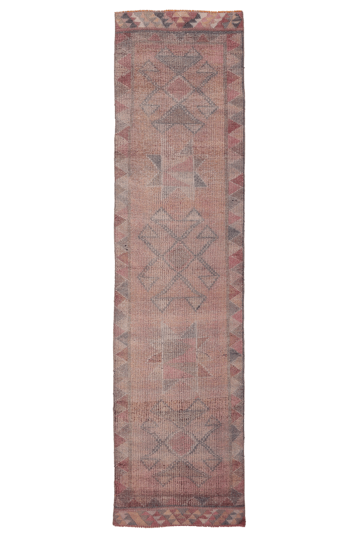 Masenor Persian Style Runner Rug