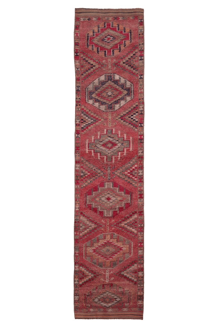 Garenad Persian Style Runner Rug
