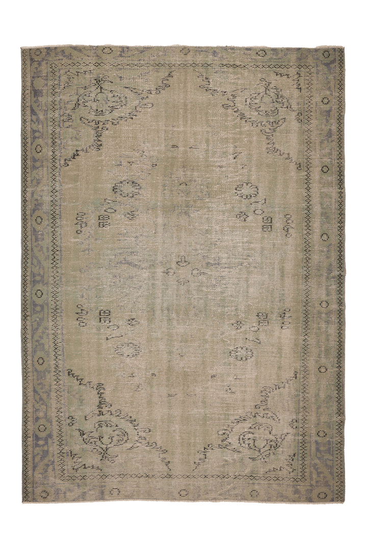 Vintage Manisa Turkish Area Rug 6x9 ft — Beige & Gray Floral (No. 53908)