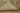 Vintage Isparta Turkish Area Rug 5x8 ft — Beige & Gray Floral (No. 53918)