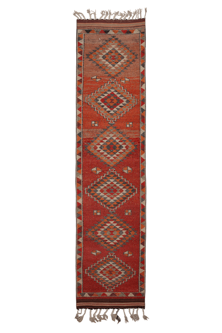 Othvetan Persian Style Runner Rug