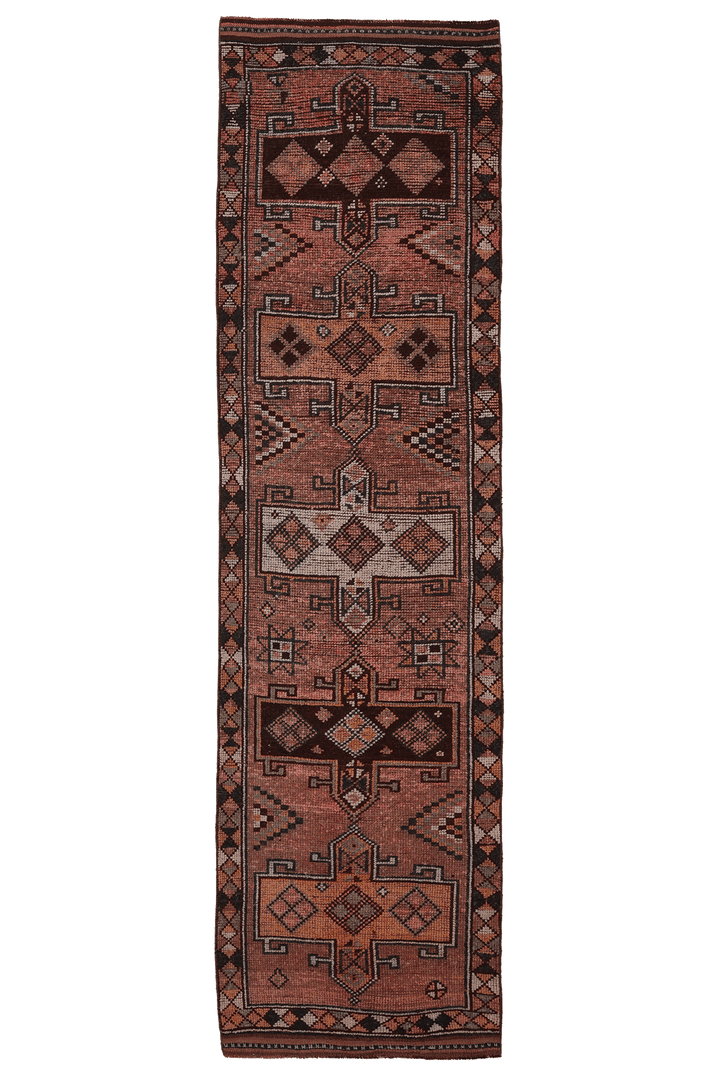 Kethvemer Persian Style Runner Rug