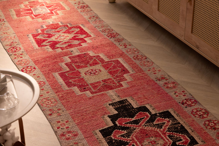 Qareth Persian-Style Runner Rug