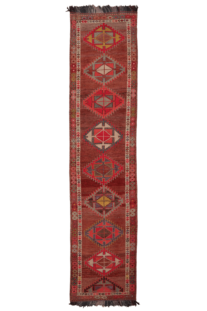 Hamerexor Persian Style Runner Rug