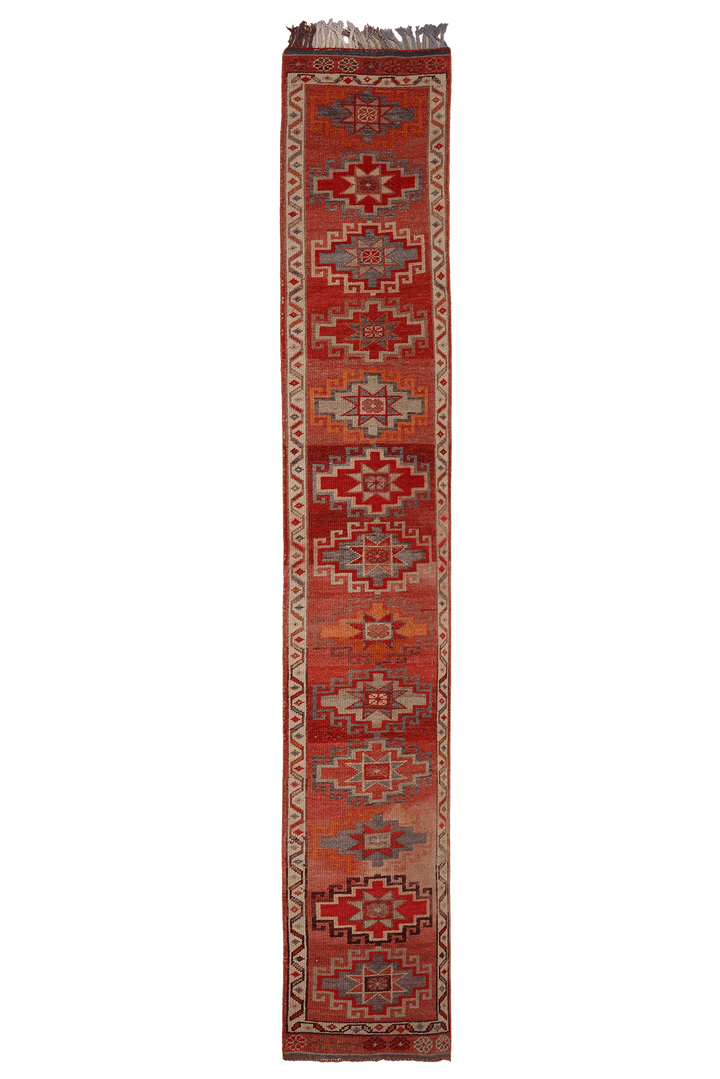 Vsenorix Persian Style Runner Rug