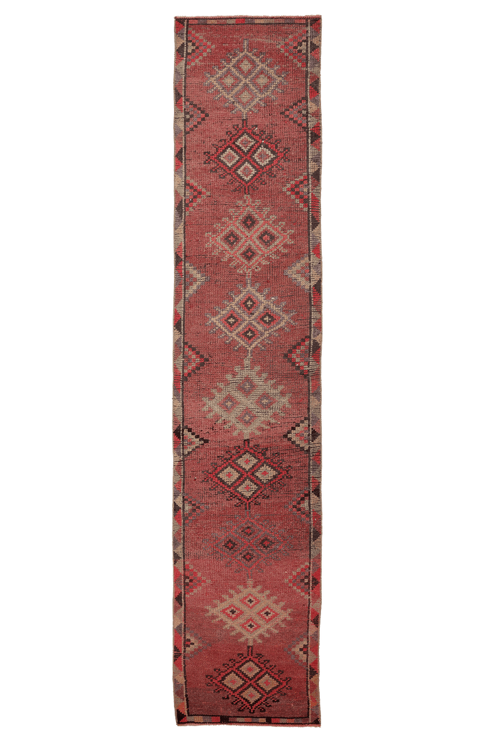 Vseniel Persian Style Runner Rug