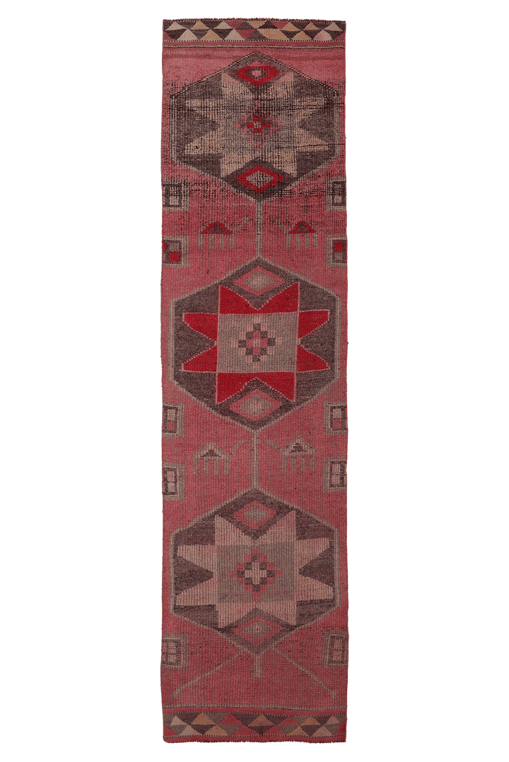 Vsenath Persian Style Runner Rug