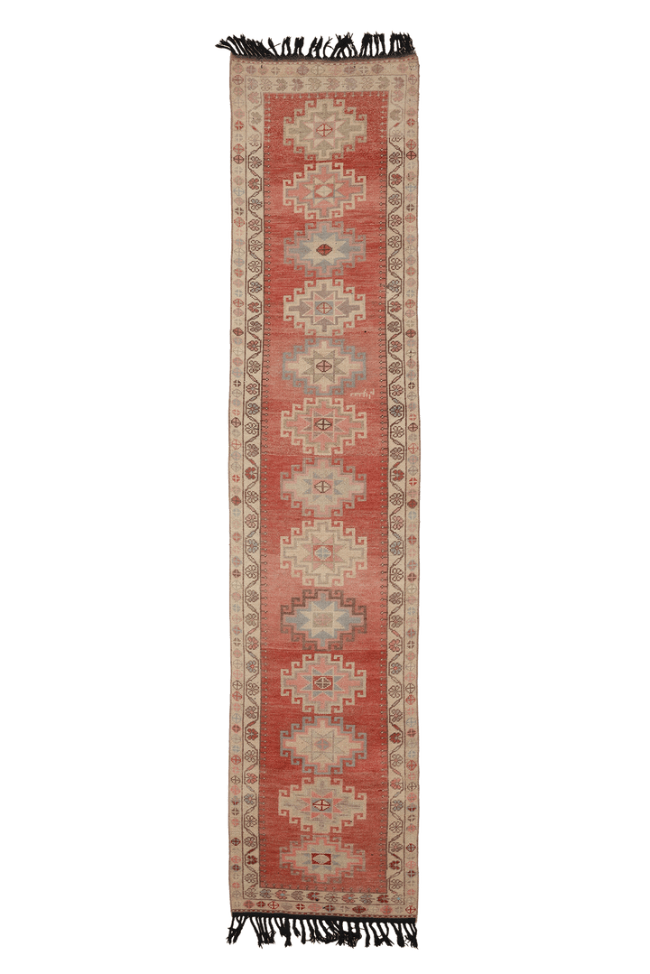 Wsenur Persian Style Runner Rug