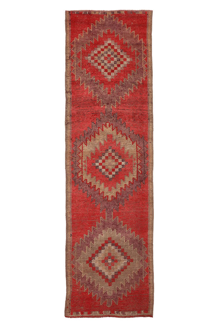 Ithurax Persian Style Runner Rug