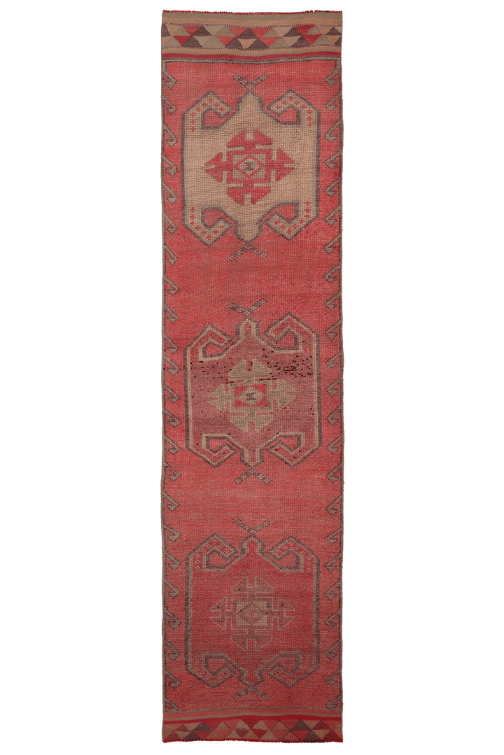 Ekhurelix Persian Style Runner Rug