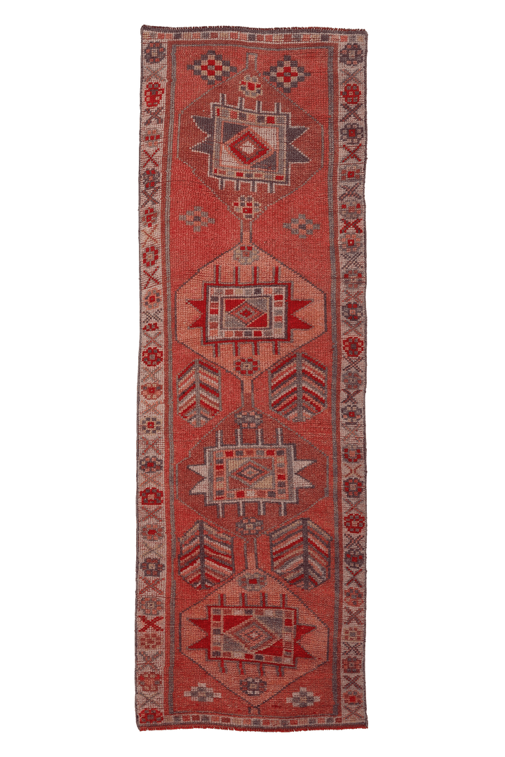 Ishuris Persian Style Runner Rug