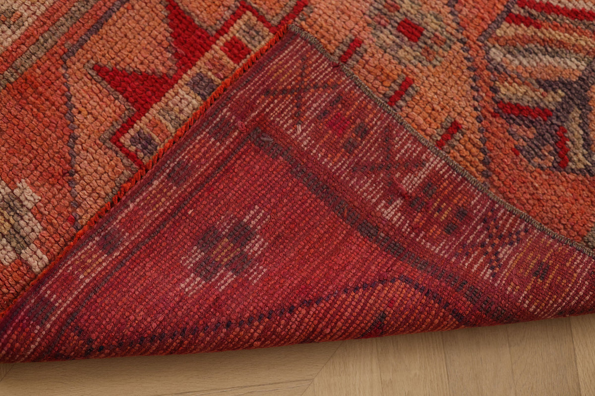 Ishuris Persian Style Runner Rug