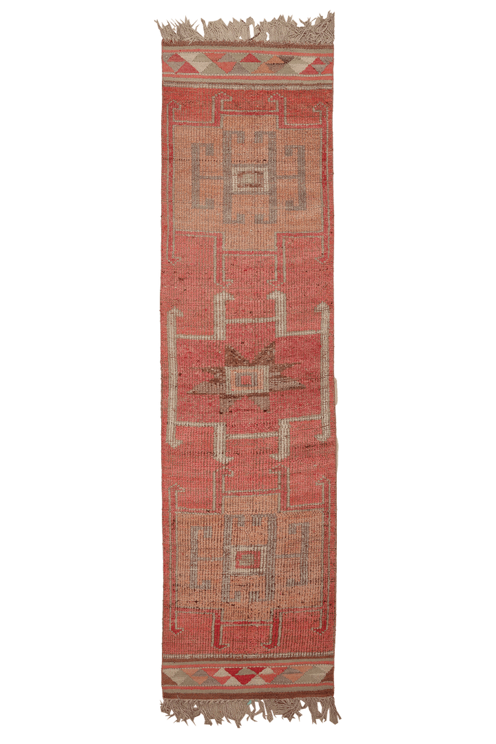 Jamvemer Persian Style Runner Rug