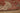 Vintage Isparta Turkish Runner Rug 2x8 ft — Red & Beige Floral