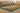 Vintage Isparta Turkish Area Rug 6x11 ft — Green & Brown Floral