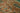 Vintage Isparta Turkish Area Rug 6x11 ft — Green & Brown Floral