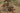 Vintage Isparta Turkish Area Rug 6x9 ft — Beige & Green Floral
