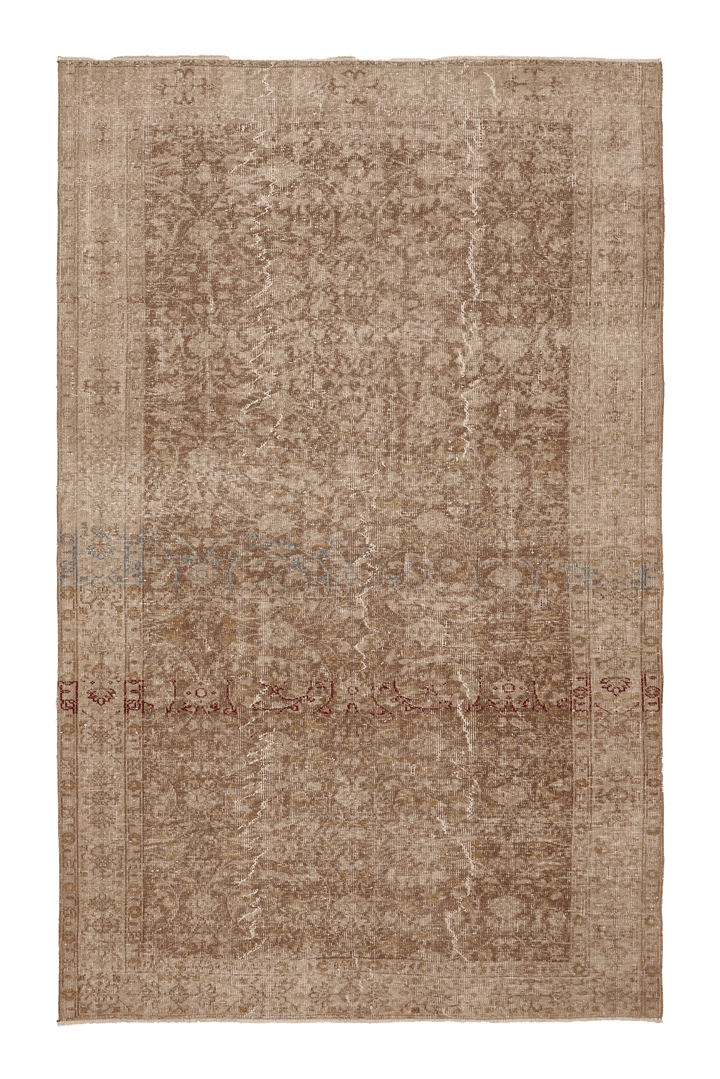 Vintage Isparta Turkish Area Rug 5x9 ft — Beige & Brown Floral