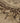 Vintage Isparta Turkish Area Rug 3x6 ft — Beige & Brown Floral