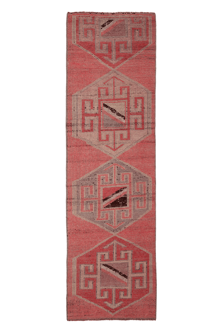 Xethurelix Persian Style Runner Rug