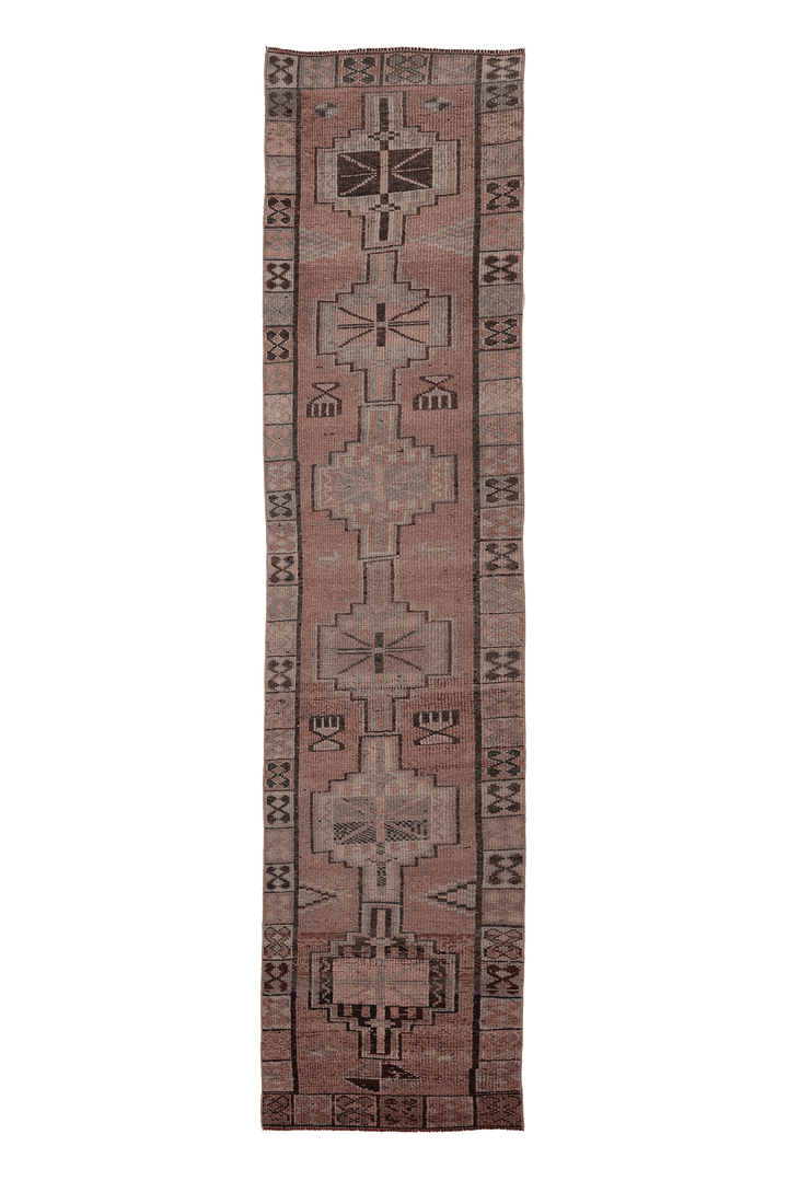 Akrunil Persian Style Runner Rug