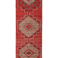 Bkrunet Persian Style Runner Rug