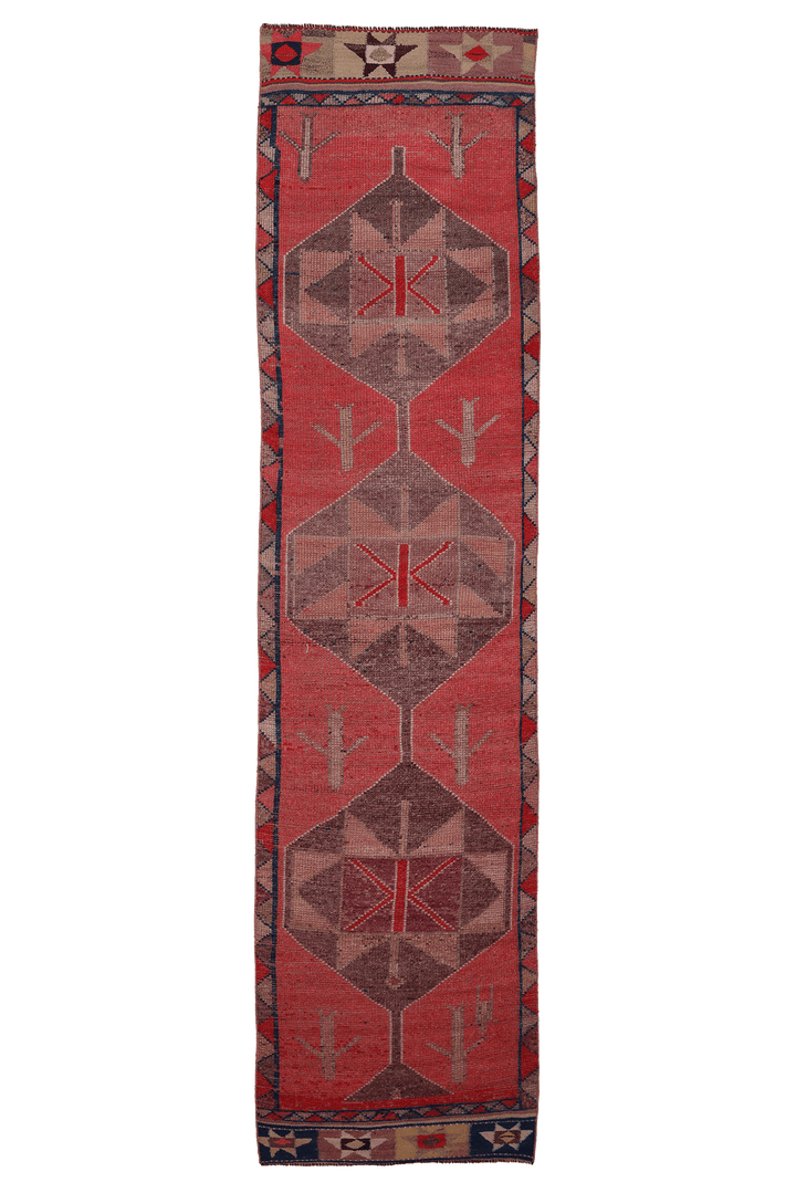 Sethurev Persian Style Runner Rug