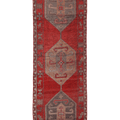 Sethunor Persian Style Runner Rug