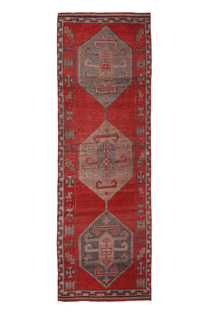 Sethunor Persian Style Runner Rug