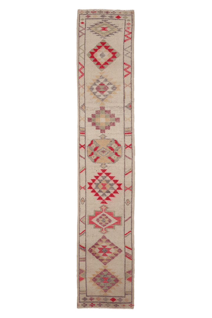 Xethuriel Persian Style Runner Rug