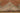 Vintage Isparta Turkish Area Rug 5x8 ft — Brown & Beige Floral (No. 60593)