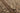 Vintage Isparta Turkish Area Rug 5x9 ft — Beige & Brown Floral (No. 62041)