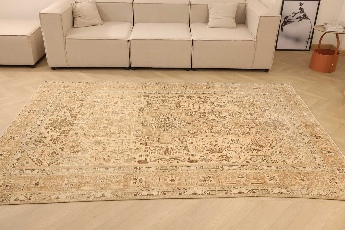 Vintage Southeastern Persian Style Area Rug 6x9 ft — Beige & Brown Medallion