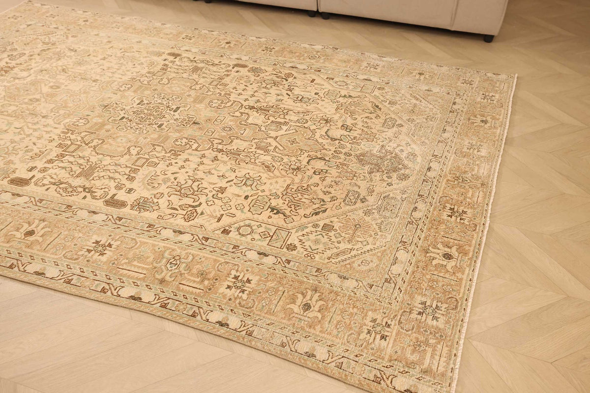 Vintage Southeastern Persian Style Area Rug 6x9 ft — Beige & Brown Medallion