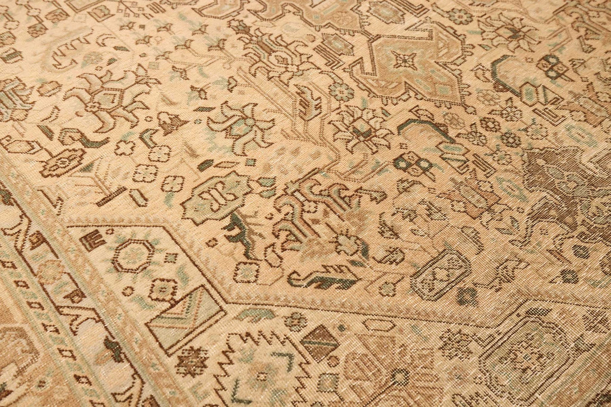 Vintage Southeastern Persian Style Area Rug 6x9 ft — Beige & Brown Medallion