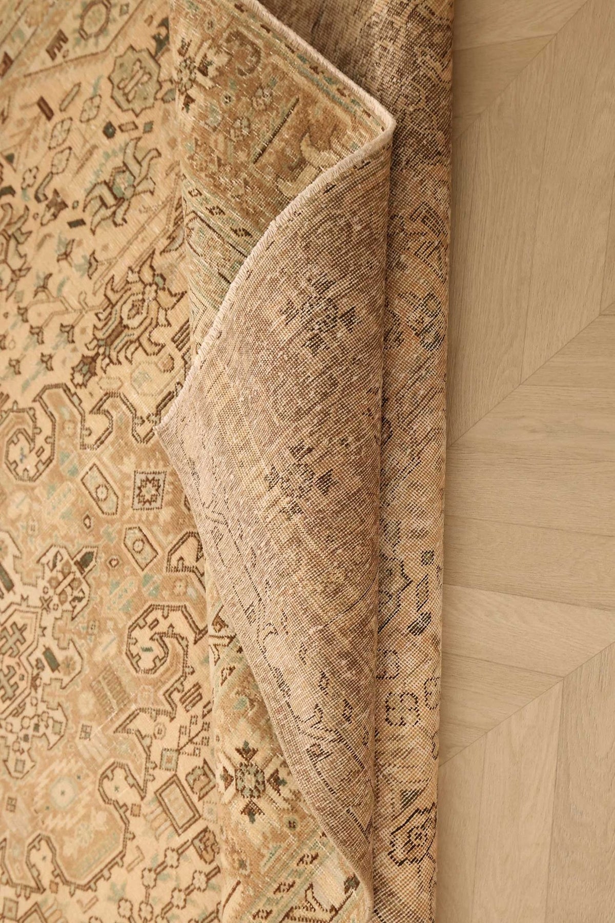 Vintage Southeastern Persian Style Area Rug 6x9 ft — Beige & Brown Medallion
