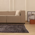 Vintage Isparta Turkish Area Rug 6x9 ft — Gray Overdyed