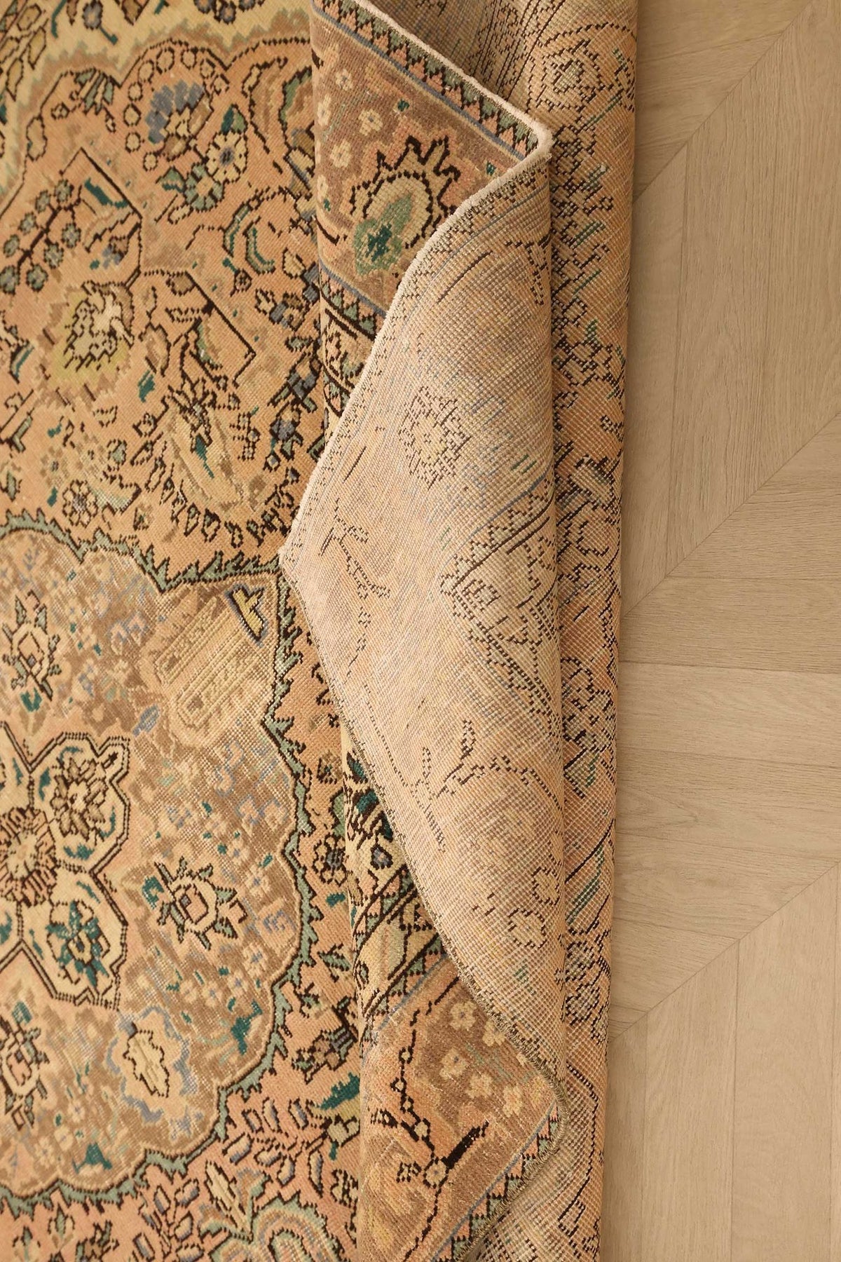 Vintage Southeastern Persian Style Area Rug 6x9 ft — Beige & Brown Medallion