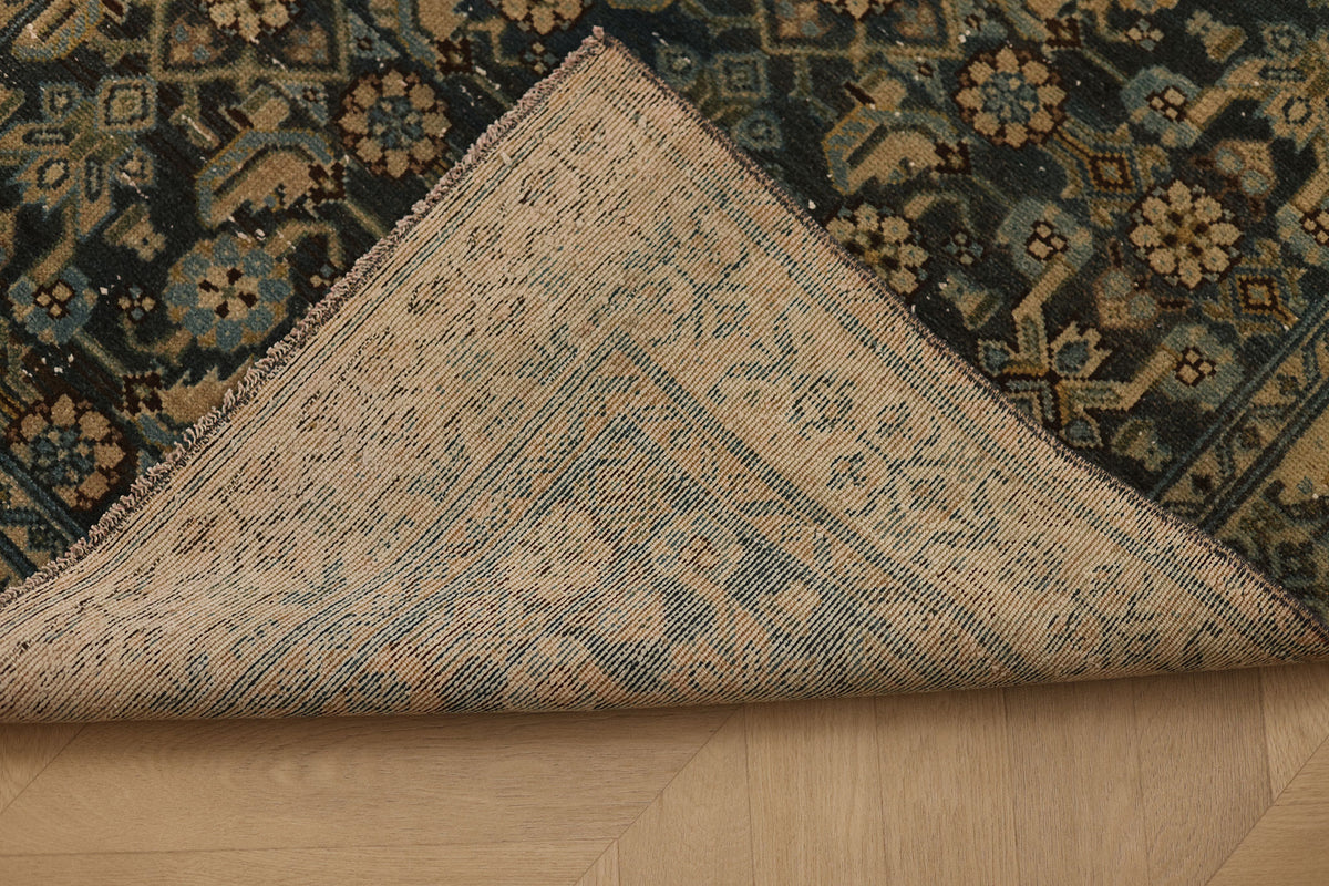 Iseniel Persian Style Runner Rug