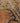 Vintage Manisa Turkish Area Rug 7x9 ft — Orange & Blue Distressed