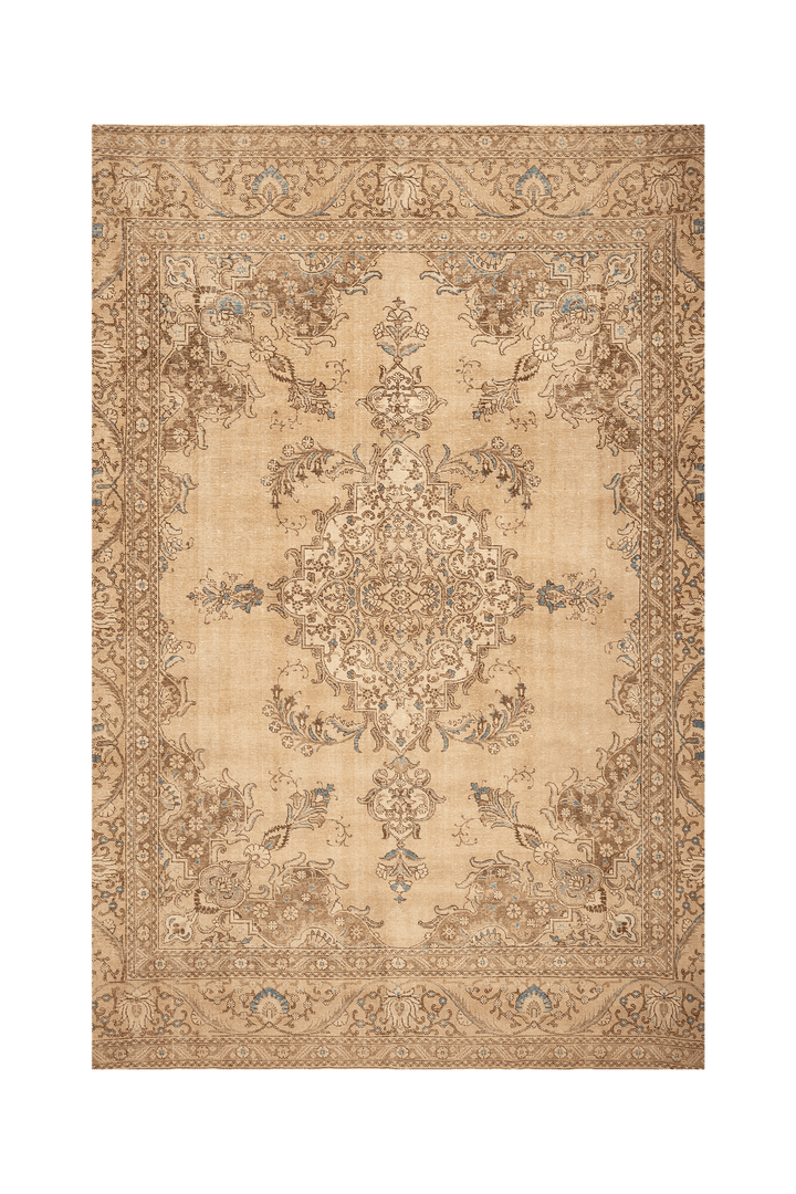 Vintage Southeastern Persian Style Area Rug 9x14 ft — Beige & Brown Medallion