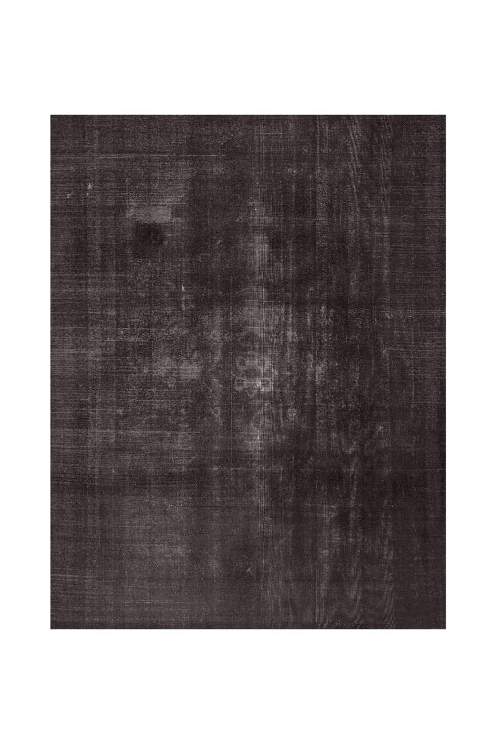 Vintage Southeastern Persian Style Area Rug 9x12 ft — Gray & Brown Overdyed