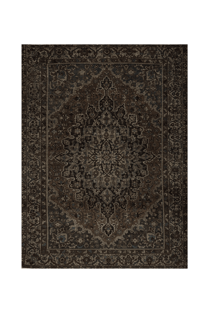 Vintage Southeastern Persian Style Area Rug 9x13 ft — Brown & Blue Medallion