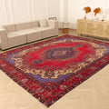 Vintage Southeastern Persian Style Oversize Rug 9x13 ft — Red & Blue Medallion