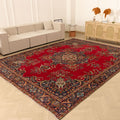 Vintage Southeastern Persian Style Oversize Rug 10x13 ft — Red & Blue Medallion