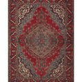Vintage Southeastern Persian Style Oversize Rug 9x13 ft — Red & Blue Medallion