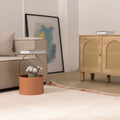 Terracotta shaggy wool rug with a high-pile texture in a cozy, modern living room setting.