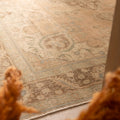 Oversized Persian-style wool and cotton area rug in beige and brown with traditional floral motifs.