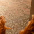 Oversized Persian-style wool and cotton area rug in orange and brown with traditional floral patterns.