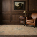 Beige Persian rug in a library